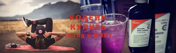мяу мяу мука Иннополис