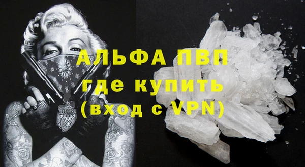 мяу мяу мука Иннополис