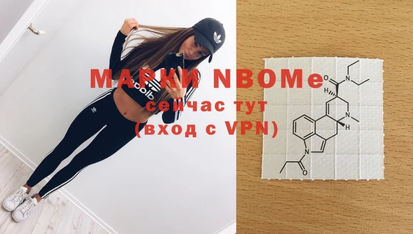 мяу мяу мука Иннополис
