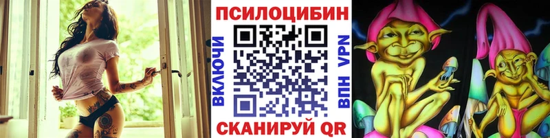 Купить закладки  Нижняя Салда  Псилоцибиновые грибы Psilocybe 